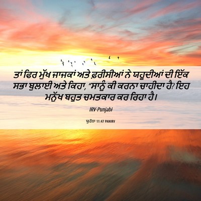 Picture 06 - ਯੂਹੰਨਾ 11:47 PANIRV - ਤਾਂ ਫਿਰ ਮੁੱਖ - Bible Verse Picture