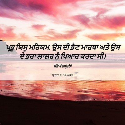 Picture 06 - ਯੂਹੰਨਾ 11:5 PANIRV - ਪ੍ਰਭੂ ਯਿਸੂ ਮਰਿਯਮ, - Bible Verse Picture