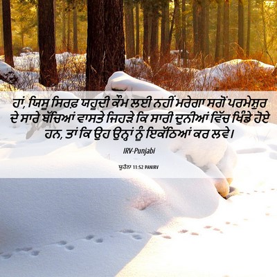 Picture 06 - ਯੂਹੰਨਾ 11:52 PANIRV - ਹਾਂ, ਯਿਸੂ ਸਿਰਫ਼ - Bible Verse Picture