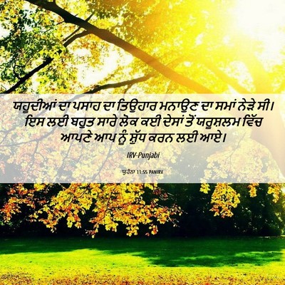 Picture 06 - ਯੂਹੰਨਾ 11:55 PANIRV - ਯਹੂਦੀਆਂ ਦਾ ਪਸਾਹ ਦਾ - Bible Verse Picture