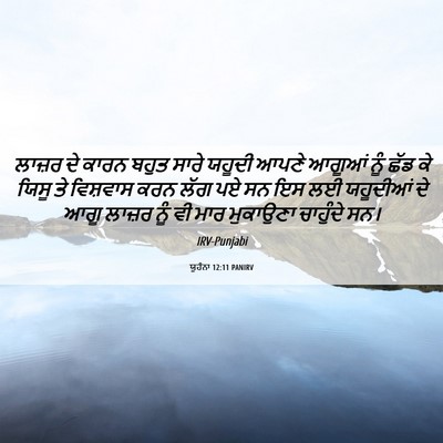 Picture 06 - ਯੂਹੰਨਾ 12:11 PANIRV - ਲਾਜ਼ਰ ਦੇ ਕਾਰਨ ਬਹੁਤ - Bible Verse Picture