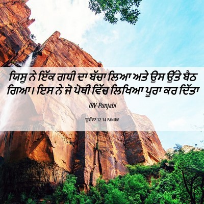 Picture 06 - ਯੂਹੰਨਾ 12:14 PANIRV - ਯਿਸੂ ਨੇ ਇੱਕ ਗਧੀ ਦਾ - Bible Verse Picture