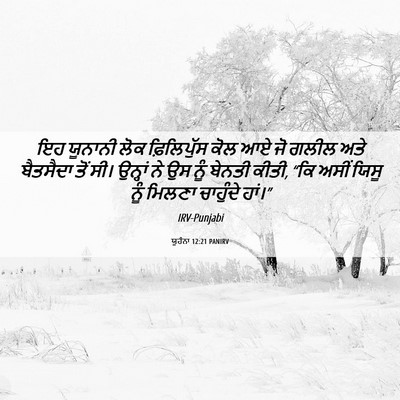 Picture 06 - ਯੂਹੰਨਾ 12:21 PANIRV - ਇਹ ਯੂਨਾਨੀ ਲੋਕ - Bible Verse Picture