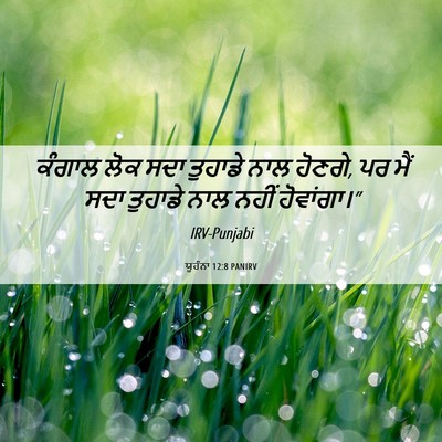 Picture 06 - ਯੂਹੰਨਾ 12:8 PANIRV - ਕੰਗਾਲ ਲੋਕ ਸਦਾ - Bible Verse Picture