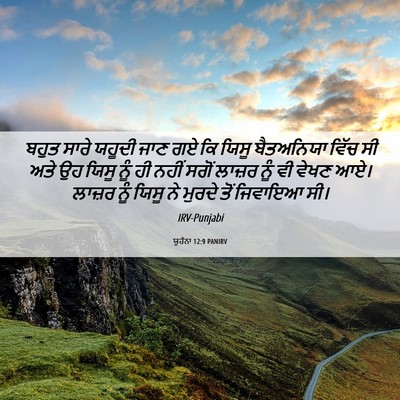 Picture 06 - ਯੂਹੰਨਾ 12:9 PANIRV - ਬਹੁਤ ਸਾਰੇ ਯਹੂਦੀ - Bible Verse Picture