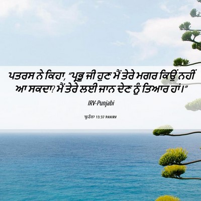 Picture 06 - ਯੂਹੰਨਾ 13:37 PANIRV - ਪਤਰਸ ਨੇ ਕਿਹਾ, - Bible Verse Picture