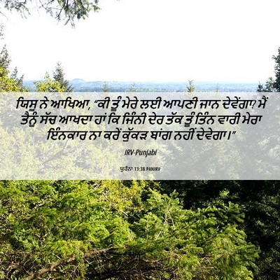 Picture 06 - ਯੂਹੰਨਾ 13:38 PANIRV - ਯਿਸੂ ਨੇ ਆਖਿਆ, “ਕੀ - Bible Verse Picture