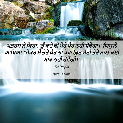 Picture 06 - ਯੂਹੰਨਾ 13:8 PANIRV - ਪਤਰਸ ਨੇ ਕਿਹਾ, “ਤੂੰ - Bible Verse Picture