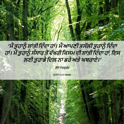 Picture 06 - ਯੂਹੰਨਾ 14:27 PANIRV - “ਮੈਂ ਤੁਹਾਨੂੰ - Bible Verse Picture