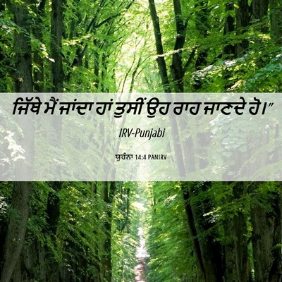 Picture 06 - ਯੂਹੰਨਾ 14:4 PANIRV - ਜਿੱਥੇ ਮੈਂ ਜਾਂਦਾ - Bible Verse Picture