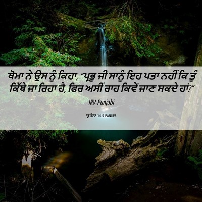 Picture 06 - ਯੂਹੰਨਾ 14:5 PANIRV - ਥੋਮਾ ਨੇ ਉਸ ਨੂੰ - Bible Verse Picture