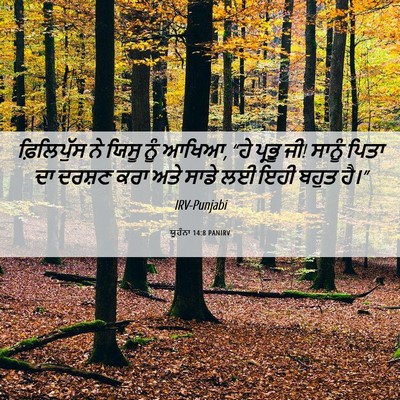 Picture 06 - ਯੂਹੰਨਾ 14:8 PANIRV - ਫ਼ਿਲਿਪੁੱਸ ਨੇ ਯਿਸੂ - Bible Verse Picture