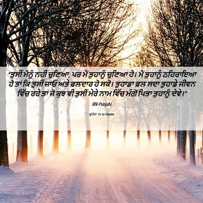 Picture 06 - ਯੂਹੰਨਾ 15:16 PANIRV - “ਤੁਸੀਂ ਮੈਨੂੰ ਨਹੀਂ - Bible Verse Picture