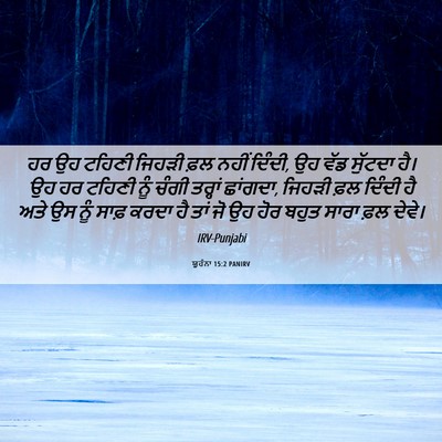 Picture 06 - ਯੂਹੰਨਾ 15:2 PANIRV - ਹਰ ਉਹ ਟਹਿਣੀ ਜਿਹੜੀ - Bible Verse Picture