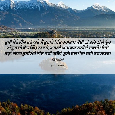 Picture 06 - ਯੂਹੰਨਾ 15:4 PANIRV - ਤੁਸੀਂ ਮੇਰੇ ਵਿੱਚ - Bible Verse Picture