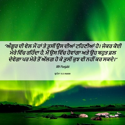 Picture 06 - ਯੂਹੰਨਾ 15:5 PANIRV - “ਅੰਗੂਰ ਦੀ ਵੇਲ ਮੈਂ - Bible Verse Picture