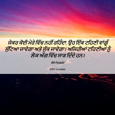 Picture 06 - ਯੂਹੰਨਾ 15:6 PANIRV - ਜੇਕਰ ਕੋਈ ਮੇਰੇ ਵਿੱਚ - Bible Verse Picture