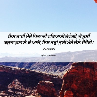 Picture 06 - ਯੂਹੰਨਾ 15:8 PANIRV - ਇਸ ਰਾਹੀਂ ਮੇਰੇ ਪਿਤਾ - Bible Verse Picture