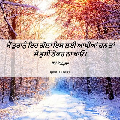Picture 06 - ਯੂਹੰਨਾ 16:1 PANIRV - ਮੈਂ ਤੁਹਾਨੂੰ ਇਹ - Bible Verse Picture