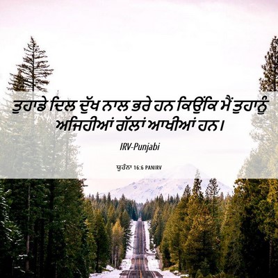 Picture 06 - ਯੂਹੰਨਾ 16:6 PANIRV - ਤੁਹਾਡੇ ਦਿਲ ਦੁੱਖ - Bible Verse Picture