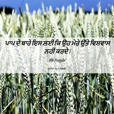 Picture 06 - ਯੂਹੰਨਾ 16:9 PANIRV - ਪਾਪ ਦੇ ਬਾਰੇ ਇਸ ਲਈ - Bible Verse Picture