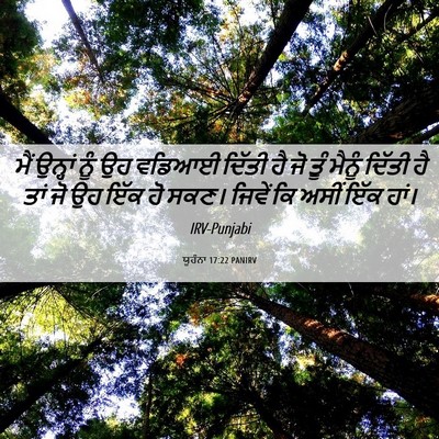 Picture 06 - ਯੂਹੰਨਾ 17:22 PANIRV - ਮੈਂ ਉਨ੍ਹਾਂ ਨੂੰ ਉਹ - Bible Verse Picture