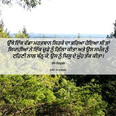 Picture 06 - ਯੂਹੰਨਾ 19:29 PANIRV - ਉੱਥੇ ਇੱਕ ਵੱਡਾ - Bible Verse Picture