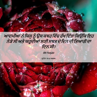Picture 06 - ਯੂਹੰਨਾ 19:42 PANIRV - ਆਦਮੀਆਂ ਨੇ ਯਿਸੂ ਨੂੰ - Bible Verse Picture