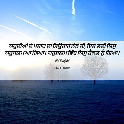 Picture 06 - ਯੂਹੰਨਾ 2:13 PANIRV - ਯਹੂਦੀਆਂ ਦੇ ਪਸਾਹ ਦਾ - Bible Verse Picture