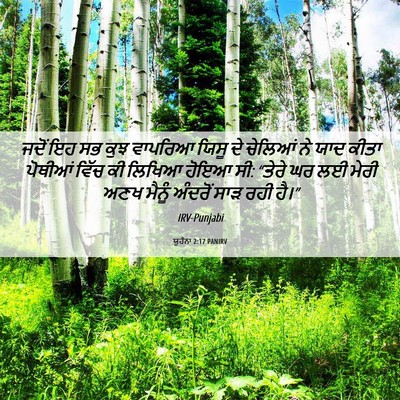 Picture 06 - ਯੂਹੰਨਾ 2:17 PANIRV - ਜਦੋਂ ਇਹ ਸਭ ਕੁਝ - Bible Verse Picture