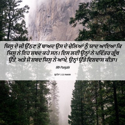 Picture 06 - ਯੂਹੰਨਾ 2:22 PANIRV - ਯਿਸੂ ਦੇ ਜੀ ਉੱਠਣ ਤੋਂ - Bible Verse Picture