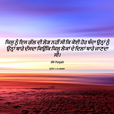 Picture 06 - ਯੂਹੰਨਾ 2:25 PANIRV - ਯਿਸੂ ਨੂੰ ਇਸ ਗੱਲ ਦੀ - Bible Verse Picture