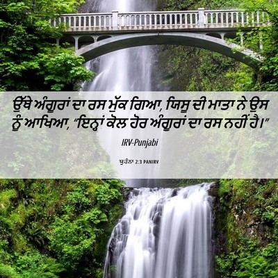 Picture 06 - ਯੂਹੰਨਾ 2:3 PANIRV - ਉੱਥੇ ਅੰਗੂਰਾਂ ਦਾ ਰਸ - Bible Verse Picture
