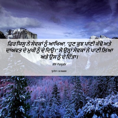 Picture 06 - ਯੂਹੰਨਾ 2:8 PANIRV - ਫਿਰ ਯਿਸੂ ਨੇ ਸੇਵਕਾਂ - Bible Verse Picture