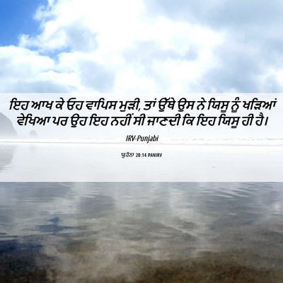 Picture 06 - ਯੂਹੰਨਾ 20:14 PANIRV - ਇਹ ਆਖ ਕੇ ਓਹ ਵਾਪਿਸ - Bible Verse Picture
