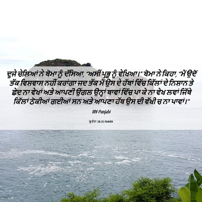 Picture 06 - ਯੂਹੰਨਾ 20:25 PANIRV - ਦੂਜੇ ਚੇਲਿਆਂ ਨੇ - Bible Verse Picture