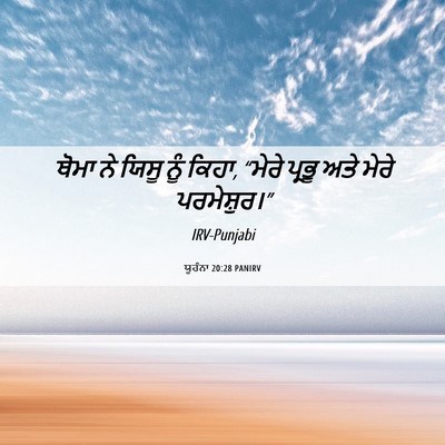 Picture 06 - ਯੂਹੰਨਾ 20:28 PANIRV - ਥੋਮਾ ਨੇ ਯਿਸੂ ਨੂੰ - Bible Verse Picture