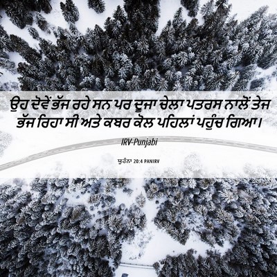 Picture 06 - ਯੂਹੰਨਾ 20:4 PANIRV - ਉਹ ਦੋਵੇਂ ਭੱਜ ਰਹੇ ਸਨ - Bible Verse Picture