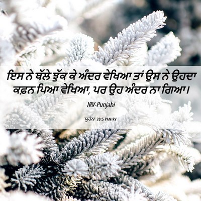 Picture 06 - ਯੂਹੰਨਾ 20:5 PANIRV - ਇਸ ਨੇ ਥੱਲੇ ਝੁੱਕ ਕੇ - Bible Verse Picture