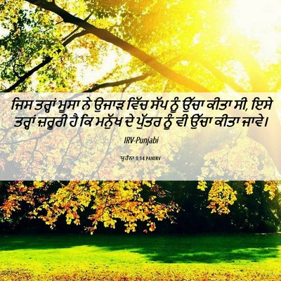 Picture 06 - ਯੂਹੰਨਾ 3:14 PANIRV - ਜਿਸ ਤਰ੍ਹਾਂ ਮੂਸਾ ਨੇ - Bible Verse Picture