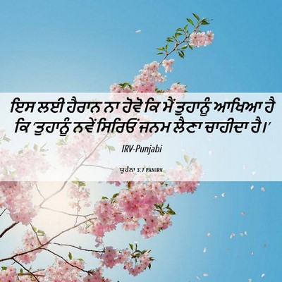 Picture 06 - ਯੂਹੰਨਾ 3:7 PANIRV - ਇਸ ਲਈ ਹੈਰਾਨ ਨਾ ਹੋਵੋ - Bible Verse Picture