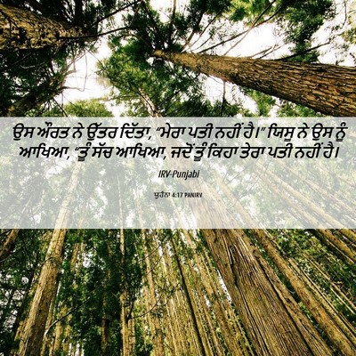 Picture 06 - ਯੂਹੰਨਾ 4:17 PANIRV - ਉਸ ਔਰਤ ਨੇ ਉੱਤਰ - Bible Verse Picture