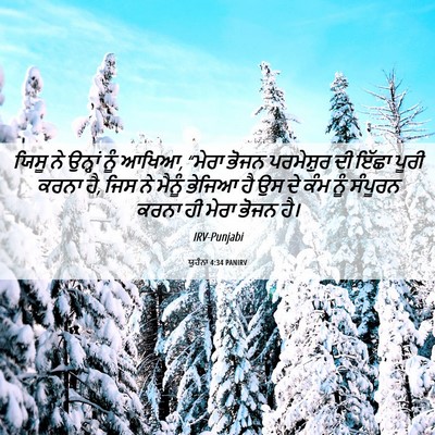 Picture 06 - ਯੂਹੰਨਾ 4:34 PANIRV - ਯਿਸੂ ਨੇ ਉਨ੍ਹਾਂ ਨੂੰ - Bible Verse Picture