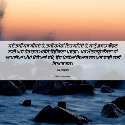 Picture 06 - ਯੂਹੰਨਾ 4:35 PANIRV - ਜਦੋਂ ਤੁਸੀਂ ਕੁਝ - Bible Verse Picture