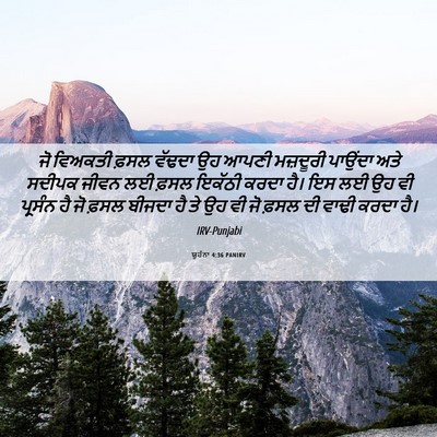 Picture 06 - ਯੂਹੰਨਾ 4:36 PANIRV - ਜੋ ਵਿਅਕਤੀ ਫ਼ਸਲ - Bible Verse Picture