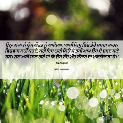 Picture 06 - ਯੂਹੰਨਾ 4:42 PANIRV - ਉਨ੍ਹਾਂ ਲੋਕਾਂ ਨੇ ਉਸ - Bible Verse Picture