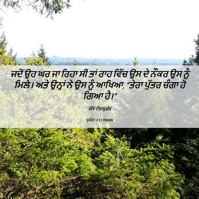 Picture 06 - ਯੂਹੰਨਾ 4:51 PANIRV - ਜਦੋਂ ਉਹ ਘਰ ਜਾ ਰਿਹਾ - Bible Verse Picture
