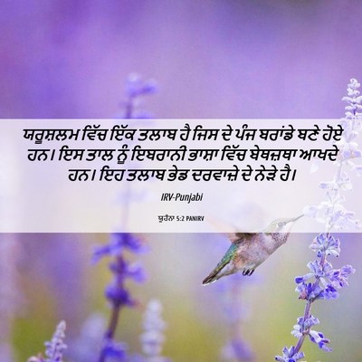 Picture 06 - ਯੂਹੰਨਾ 5:2 PANIRV - ਯਰੂਸ਼ਲਮ ਵਿੱਚ ਇੱਕ - Bible Verse Picture