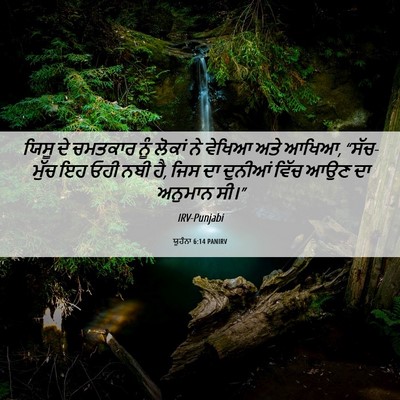 Picture 06 - ਯੂਹੰਨਾ 6:14 PANIRV - ਯਿਸੂ ਦੇ ਚਮਤਕਾਰ ਨੂੰ - Bible Verse Picture