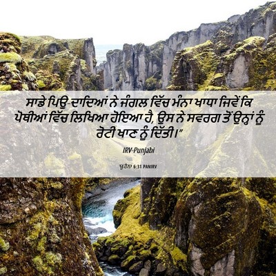 Picture 06 - ਯੂਹੰਨਾ 6:31 PANIRV - ਸਾਡੇ ਪਿਉ-ਦਾਦਿਆਂ ਨੇ - Bible Verse Picture